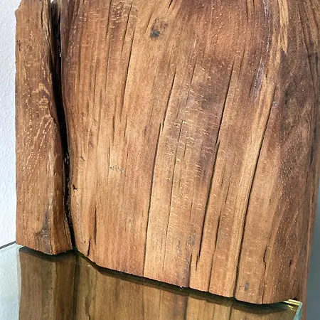 Studio_suite05 Apartament *